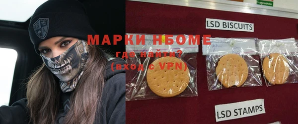 прущие грибы Ельня