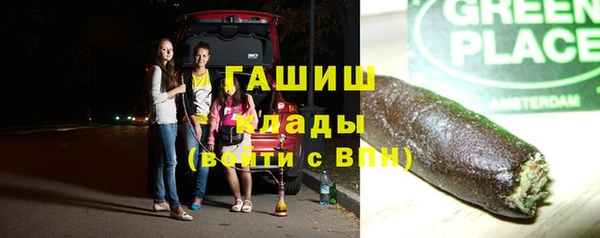 мдпв Елабуга