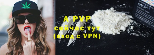 PSILOCYBIN Елизово