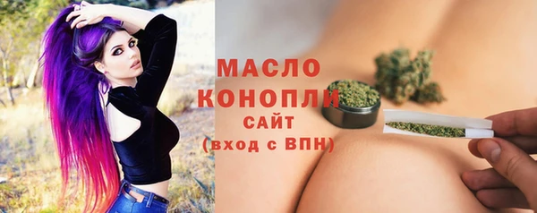 прущие грибы Ельня