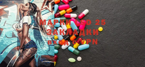 мдпв Елабуга