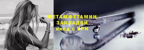 прущие грибы Ельня