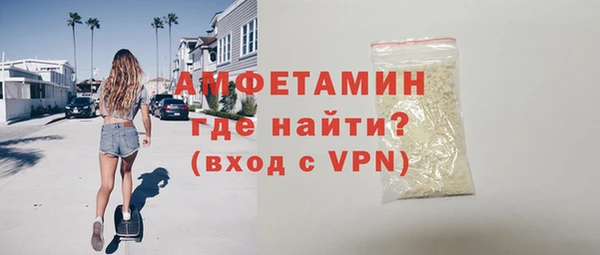 прущие грибы Ельня