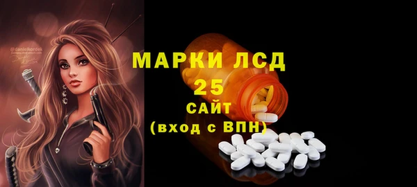 прущие грибы Ельня