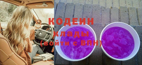 мдпв Елабуга