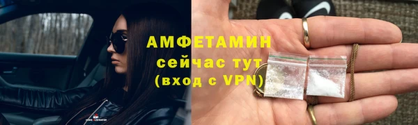 мдпв Елабуга
