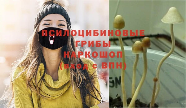 PSILOCYBIN Елизово