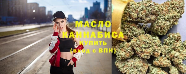 прущие грибы Ельня