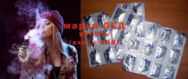 мдпв Елабуга