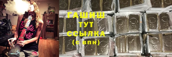 мдпв Елабуга