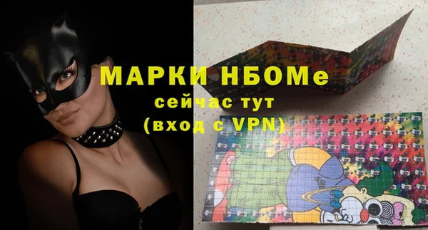 прущие грибы Ельня