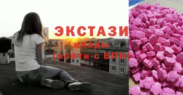 прущие грибы Ельня