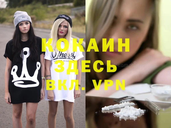 мдпв Елабуга