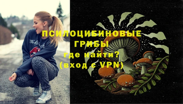 PSILOCYBIN Елизово