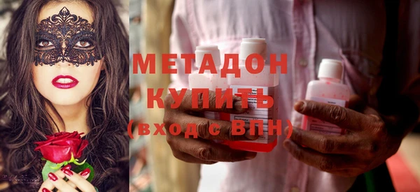 прущие грибы Ельня