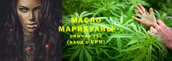 прущие грибы Ельня