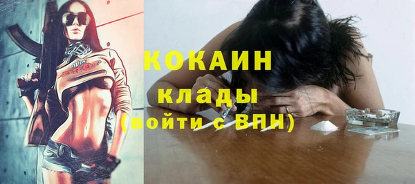 мдпв Елабуга