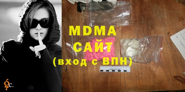 прущие грибы Ельня