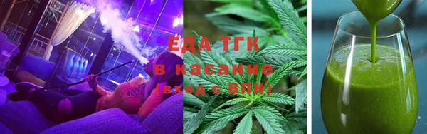 мдпв Елабуга
