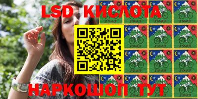 стаф Камышлов