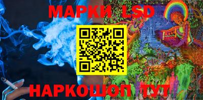 прущие грибы Абакан