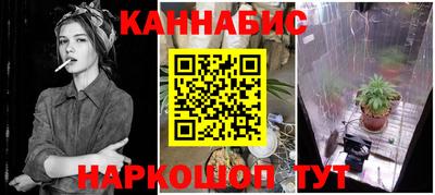 стаф Камышлов