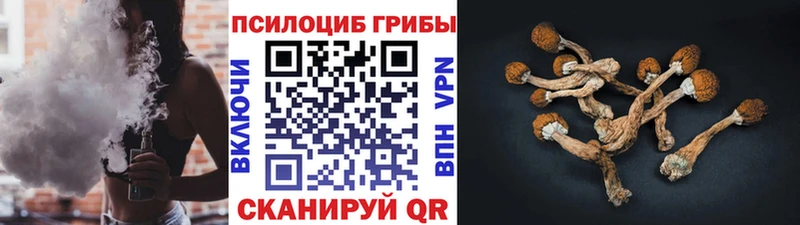 цены   Славянск-на-Кубани  МЕГА как зайти  Псилоцибиновые грибы мухоморы 