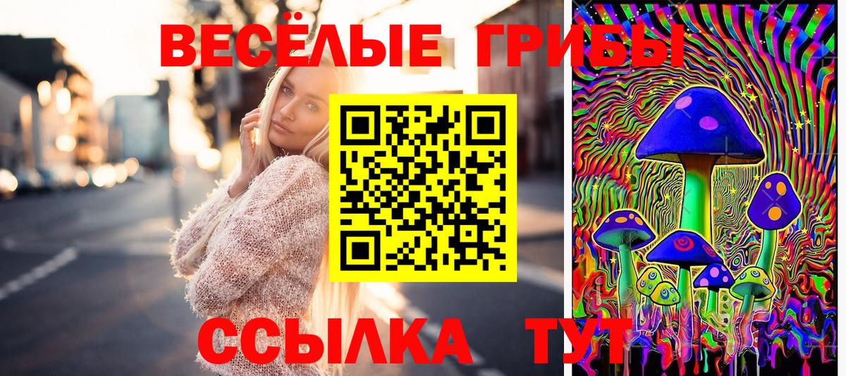 Галлюциногенные грибы мухоморы Славянск-на-Кубани